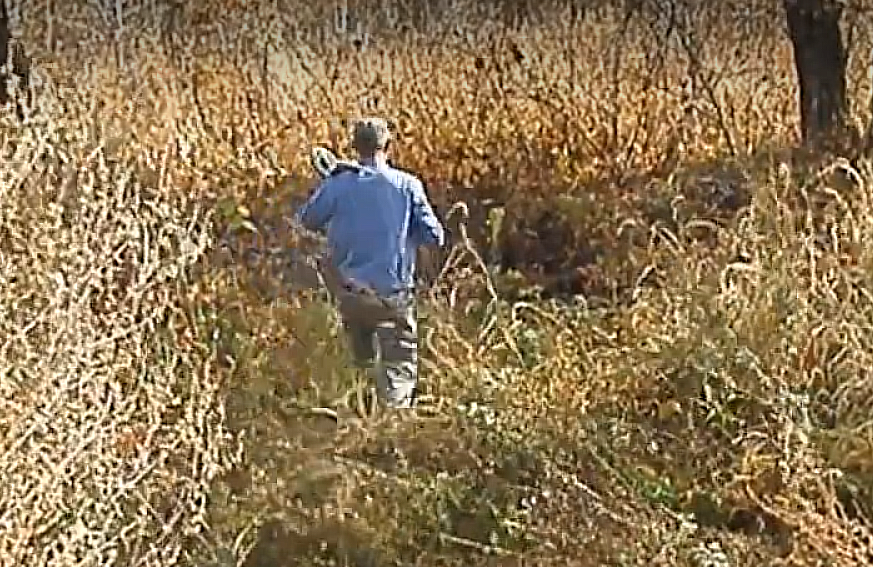 сколько метала в бетонных столбах