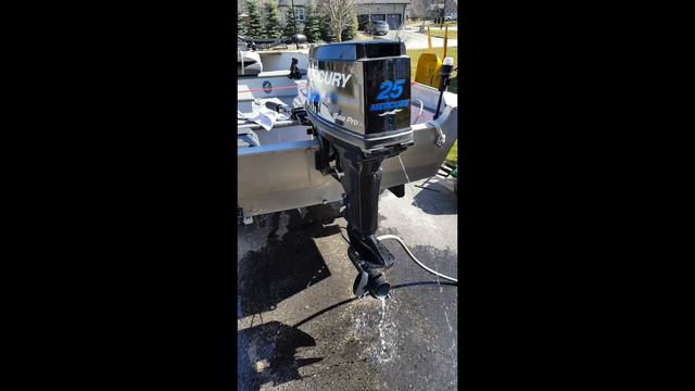 MERCURY SEA PRO 25 COLD START | 2 STROKE SOUND