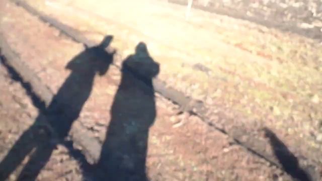 DJI Agras T40. Тесты производительности в поле. смотреть онлайн