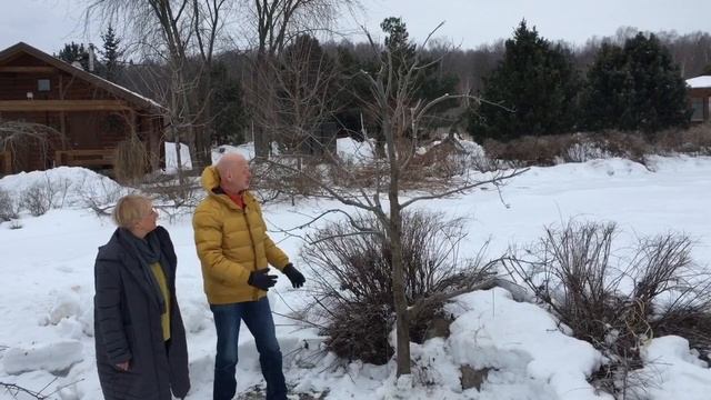 Обрезка гранатной рябины в питомнике Савватеевых смотреть онлайн