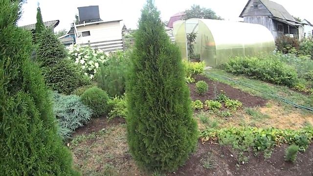 Продолжение дачных будней Борьба с засухой и сорняками смотреть онлайн