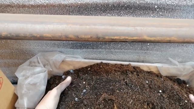 Домовладелец Pro