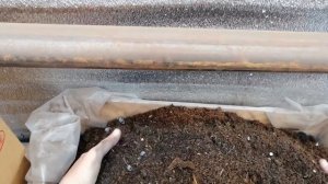 Как я готовлю грунт для пеларгонии