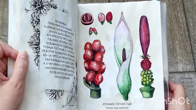 РАСКРАШЕННОЕ ЗА МЕСЯЦ/июль/август #раскраскиантистресс #раскраскидлявзрослых #coloringbook смотреть онлайн