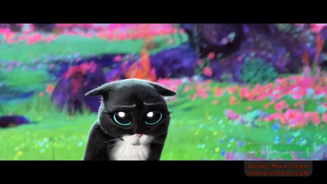 Kitty Softpaws AMV - Leave Out All The Rest смотреть онлайн