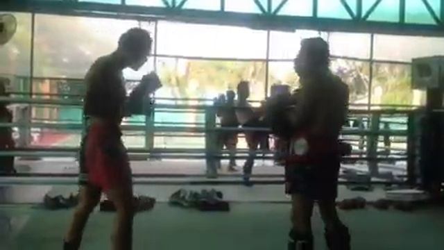 Тренировка чемпиона мира по муай таю смотреть онлайн