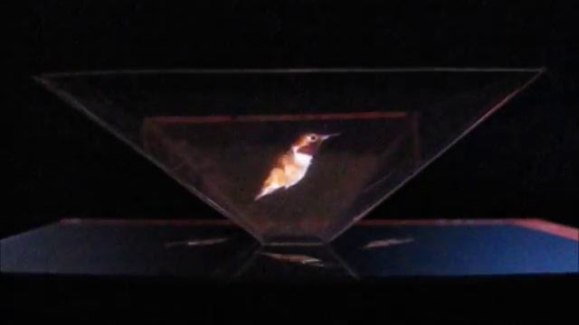 Holapex Hologram Pyramid Videos