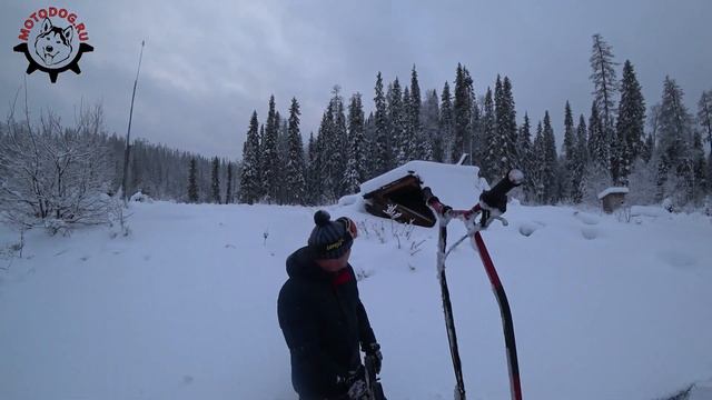 Река Пачуга на мотобуксировщиках МОТОДОГ | MOTODOG