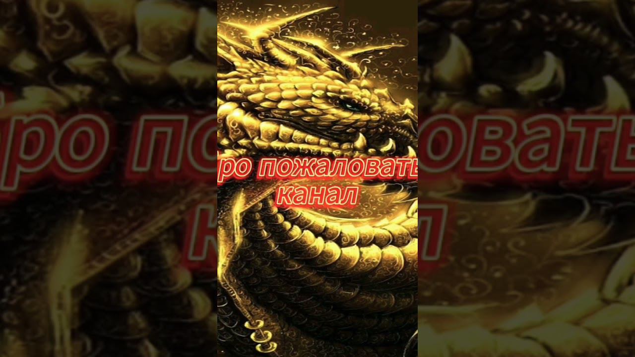 1 февраля 2024 г. смотреть онлайн