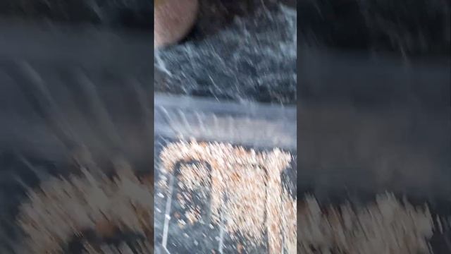 удобрение из скорлупы яиц смотреть онлайн