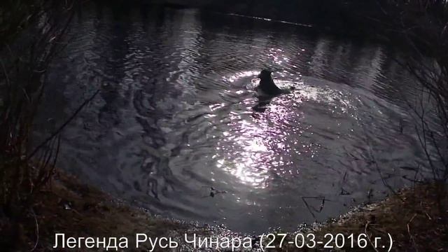 Легенда Русь Чинара - Открытие купального сезона смотреть онлайн