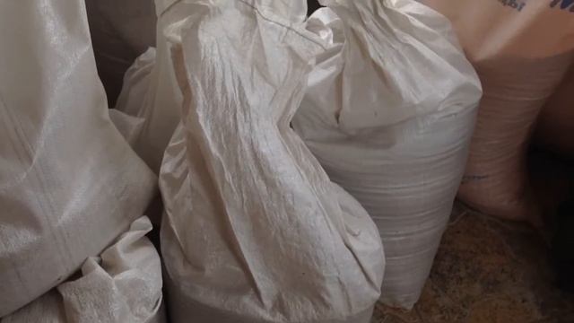 Курочки ? в начале зимы ❄️ / Кормление и содержание кур / Яйца смотреть онлайн