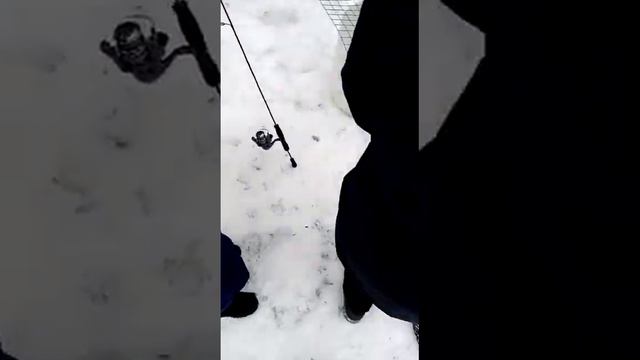 Ловля форели на микроджиг зимой часть 2 смотреть онлайн