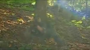 Моя граница - финальная песня