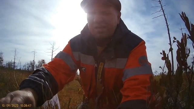 клюква у дороги Сургут смотреть онлайн