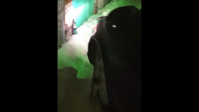 Big-Benz.ru - Раскоксовыватель Lavr ml-202 на ML w163 смотреть онлайн