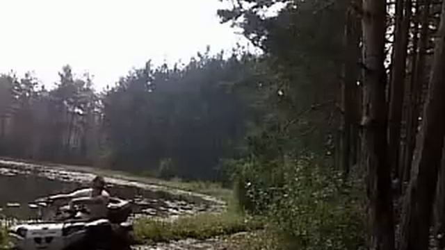 Лебеда в болоте.mp4 смотреть онлайн