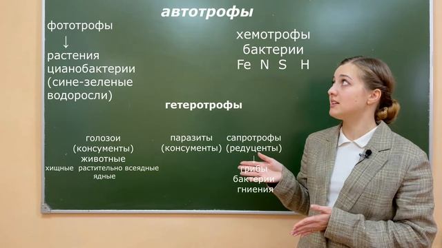 ТИПЫ ПИТАНИЯ | Биология ЕГЭ. "Курс на мед" смотреть онлайн