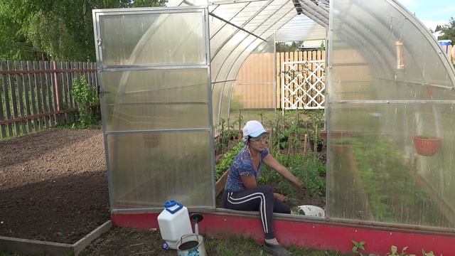 6 соток 21 мая 2023 года. Хроника.