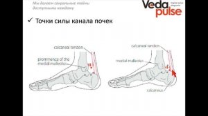 Канал Почек, диагностика и методы воздействия