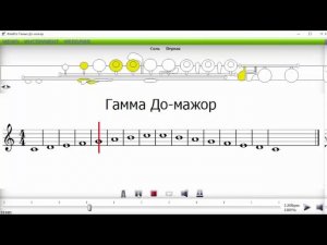 гамма до мажор поперечная флейта