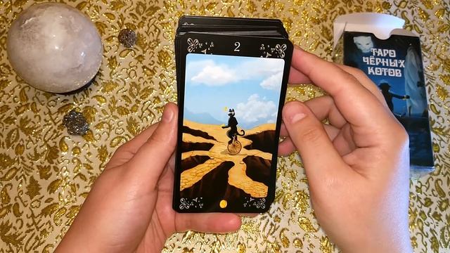 Обзор колоды "Таро Черных Котов". Black Cats Tarot. смотреть онлайн