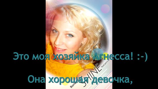 Багира ШАМАНКА_Ориентальный котёнок играет с шаром цитрина! смотреть онлайн