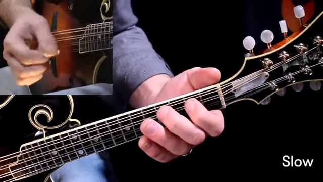 Cumberland Gap - Intermediate Solo [Mandolin] смотреть онлайн