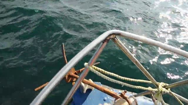 Камчатка. Тихий океан, Август 2012 г смотреть онлайн