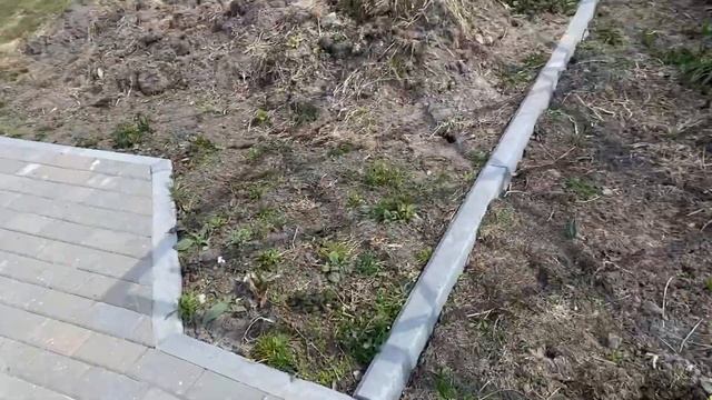 КУПИЛИ МНОГО ХВОЙНЫХ ДЕРЕВЬЕВ, ПЕКУ ЧИАБАТТУ И БЕЗДРОЖЖЕВОЙ ХЛЕБ НА ЗАКВАСКЕ смотреть онлайн