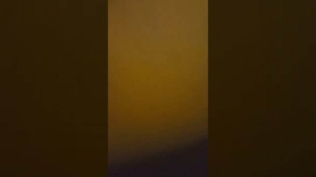 Freestyle: Corrupted Seed???? смотреть онлайн