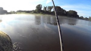 Рыбалка в Алтайском крае на реках (разливах) Оби. 31 июля 2021 г.