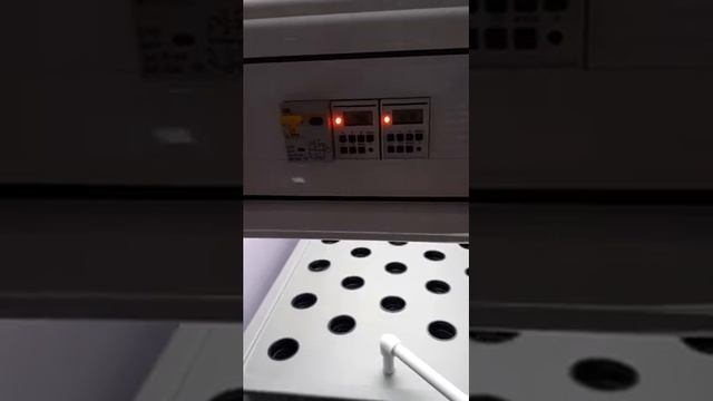 Гидропоника для всех ! Установка для школы. смотреть онлайн