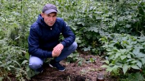 ПАН120 Сделать землю почву плодородной учимся у природы. Природное земледелие