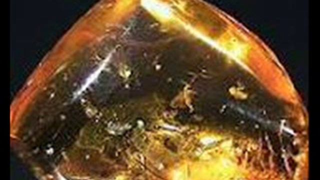 Что такое янтарь?