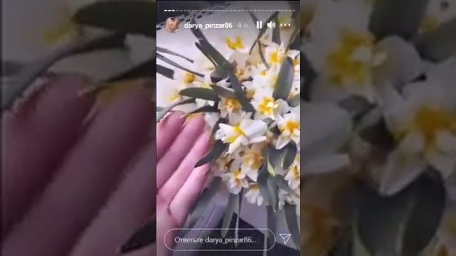 Свежий сторис Дарьи Пынзарь смотреть онлайн