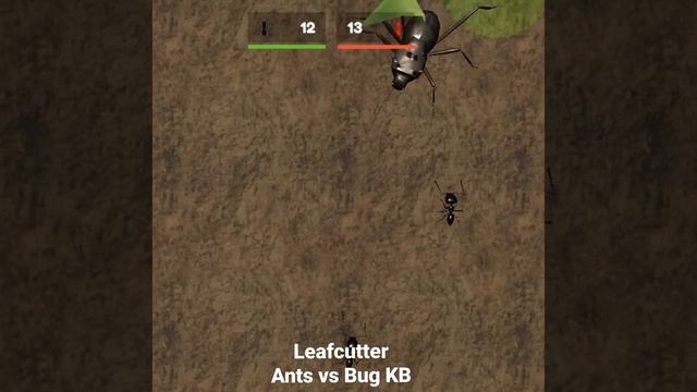 Ants vs Bug - LeafCutter Ants vs Bug KB Battle ⚔️ смотреть онлайн