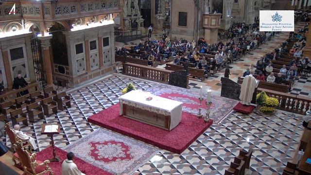 Santa Messa in diretta dalla Basilica del Santo a Padova смотреть онлайн