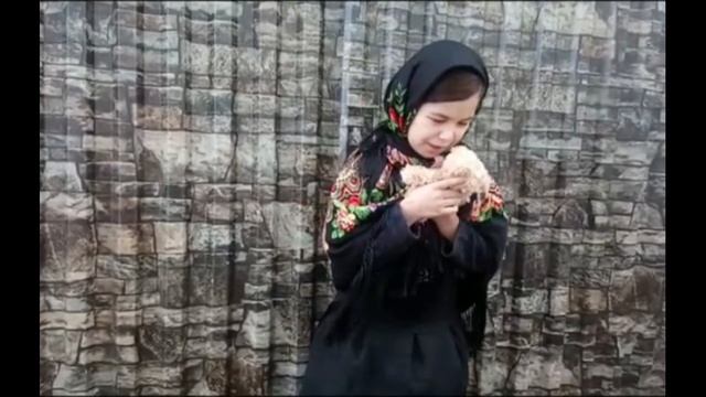 Ходжибаева Алина - Стихотворение Л.Тасси «Ой, Мишка, как же страшно мне!» смотреть онлайн