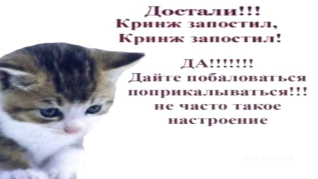 НЕ ЧАСТО ТАКОЕ НАСТРОЕНИЕ смотреть онлайн