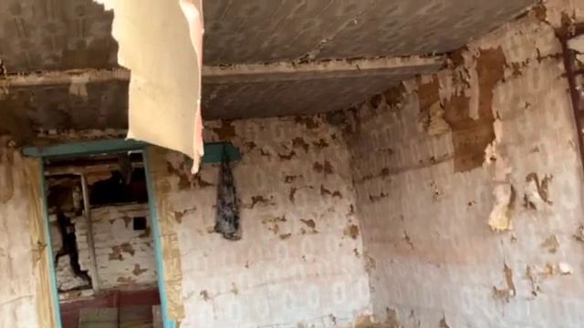 Керн Терьер Весна Охота Лес смотреть онлайн