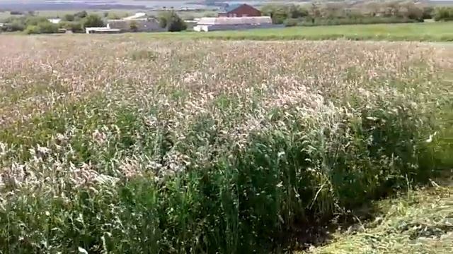 Косим эсперцет на 4 скорости 2015 смотреть онлайн