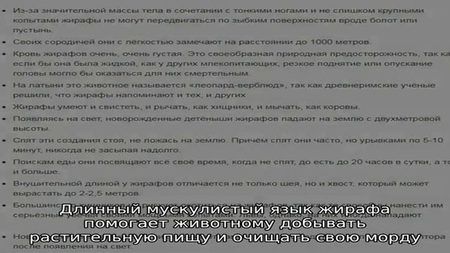 Животные жарких стран — тема для дошкольников и младших школьников: названия, список, краткое опис. смотреть онлайн