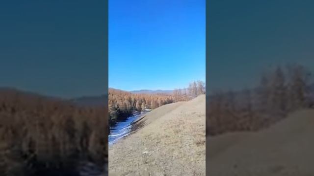 стихотворение про Алтайский язык - тюркизм смотреть онлайн