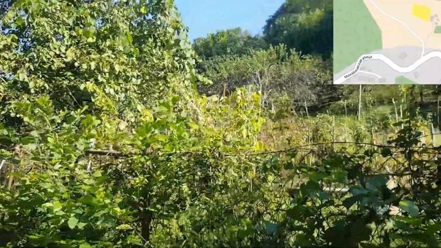 Купить участок в Сочи с садом|Продажа участка в Сочи|Сочи Солнечный центр|8 800 302 9550 смотреть онлайн