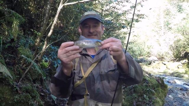 Ловля форели в Абхазии смотреть онлайн