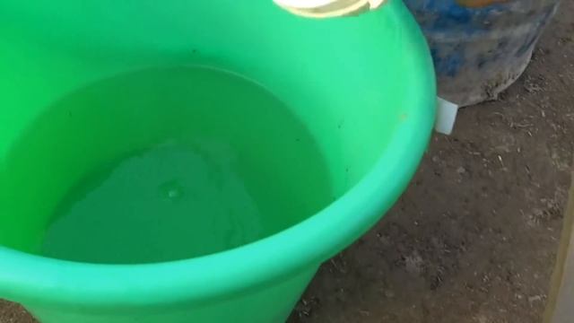 Это УДОБРЕНИЯ и СТИМУЛЯТОР очень быстро заставить ПЕТУНИЮ, БАРХАТЦЫ, ВИОЛЫ цвести? ДЛЯ ЛЮБЫХ ЦВЕТОВ смотреть онлайн