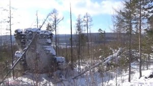 ВОЛЧЬЕ ЛОГОВО. ЗАДРАЛИ ОЛЕНЯ. СТАЯ.