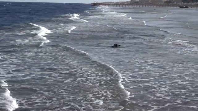 Пляж Parrotel Aqua Park