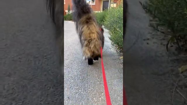 Бабье лето? А что оно такое короткое? смотреть онлайн